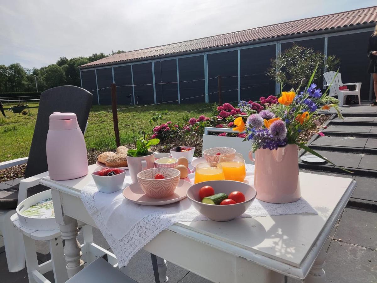 לינה וארוחת בוקר Noordgouwe De Tulp מראה חיצוני תמונה